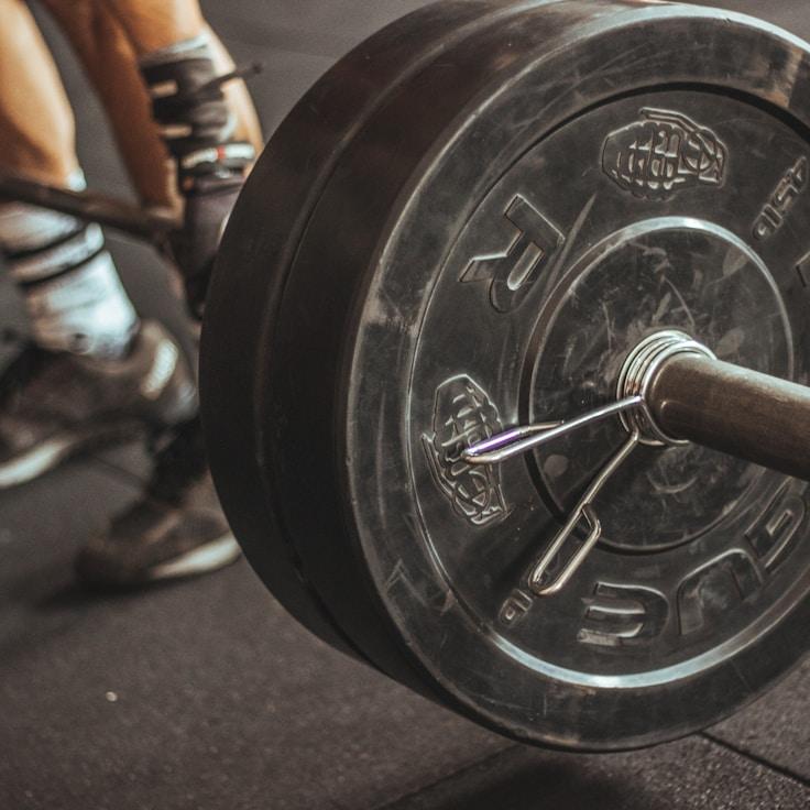 Professional gym with weight equipment